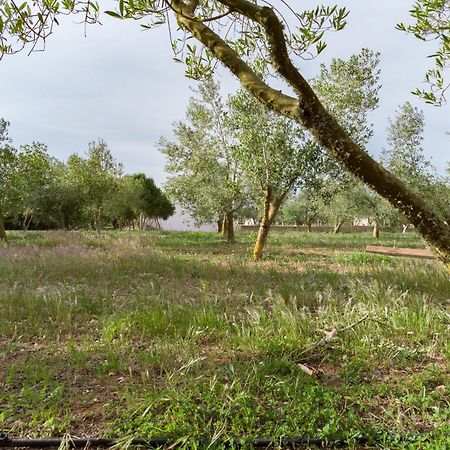 מאהון Agroturismo Malbuger Nou Menorca -Adults Only- מראה חיצוני תמונה