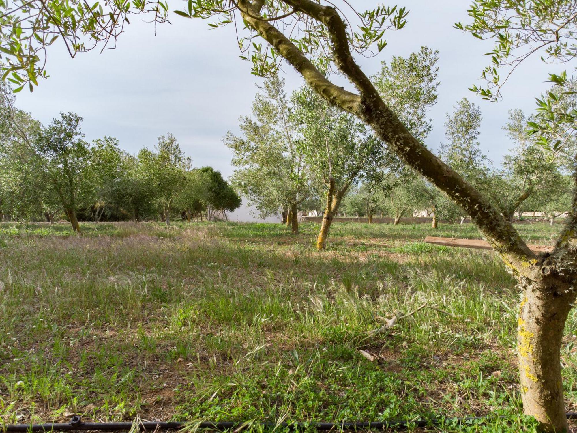 מאהון Agroturismo Malbuger Nou Menorca -Adults Only- מראה חיצוני תמונה